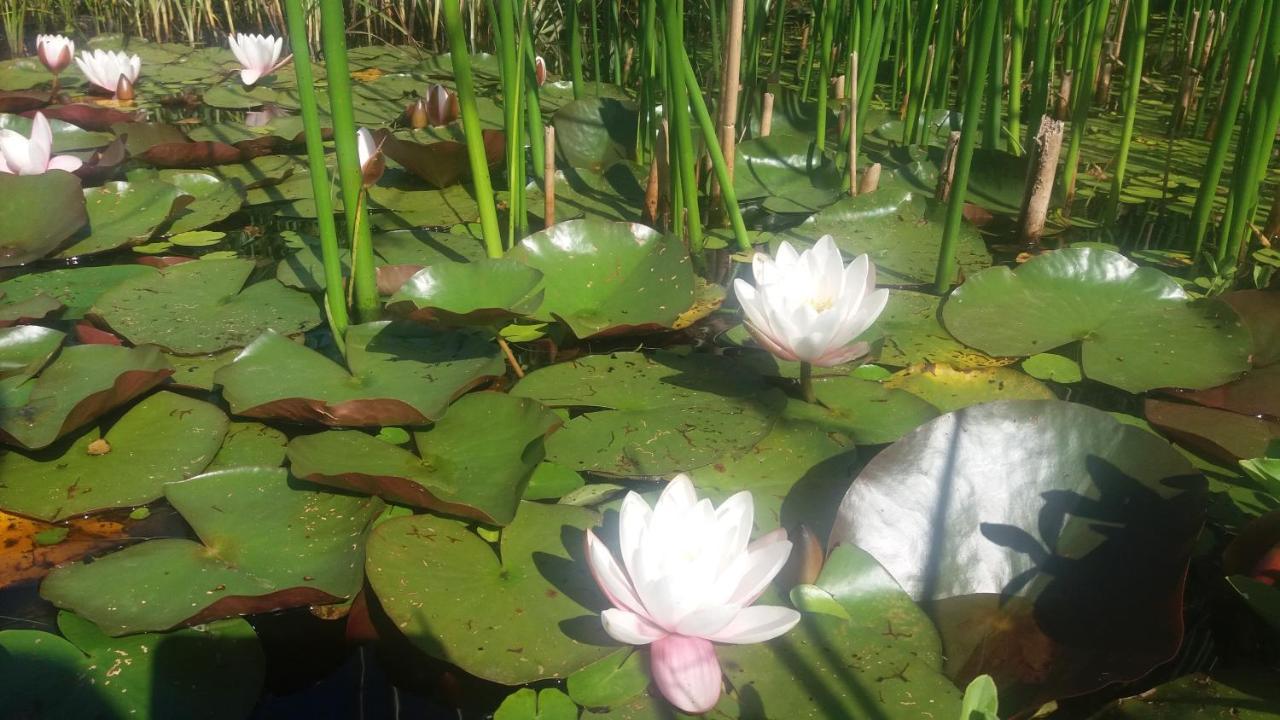 Un matin au jardin Bed & Breakfast Francorchamps Bagian luar foto