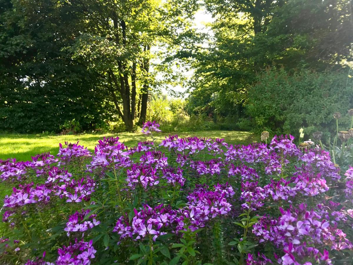 Un matin au jardin Bed & Breakfast Francorchamps Bagian luar foto